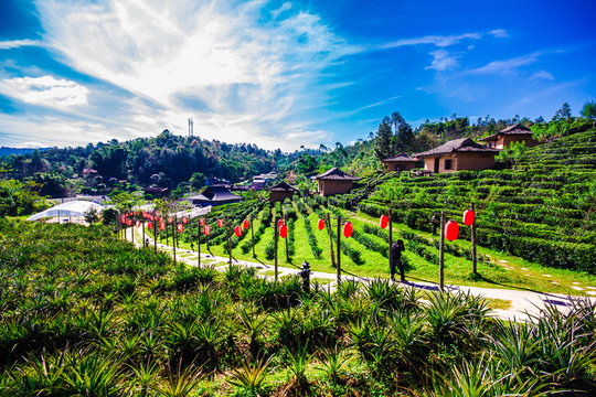 Ban Rak Thai  Mae Hong Son in thailand