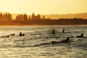 Surfing in Paradise