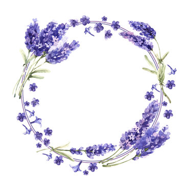 Wildflower lavender flower wreath in a watercolor style isolated.