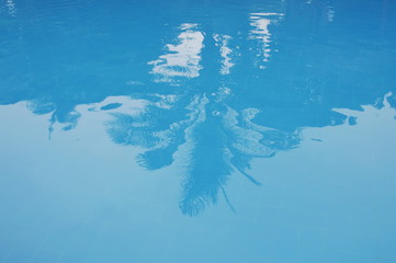 blurry coconut tree reflection on blue tile pool