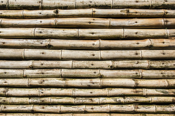 Bamboo wall background.