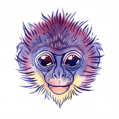 Watercolor spectacled langur on white background