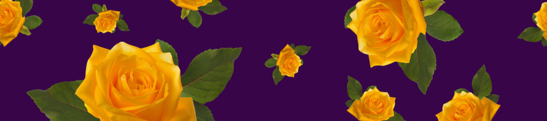 banner pattern of yellow roses