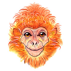 Vector watercolor javan lutung on white background