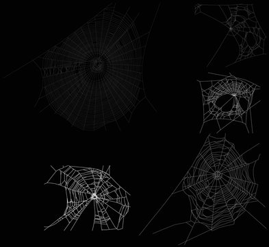 five white isolated webs collection