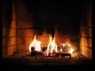 The fire in the fireplace. Firewood, charcoal, flames