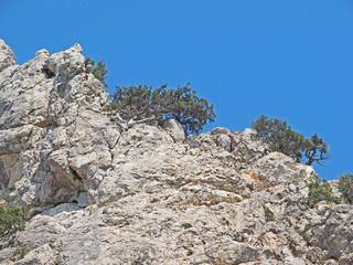 mountains in Crimea