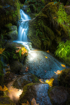 Waterfall Background Oregon Fall Colors