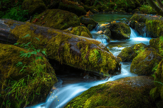 Beautiful Cascading water of Watson Creek Oregon