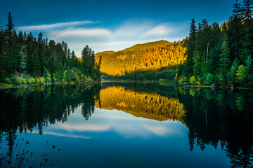 Sunset Reflection Toketee Lake Umpqua River Oregon
