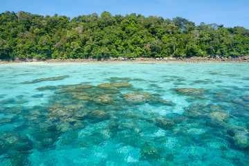 Fototapeta premium Beautiful island,clear water for snorkeling