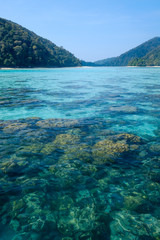 Beautiful island,clear water for snorkeling