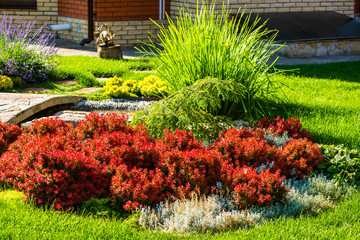beautiful landscaping with beautiful plants and flowers