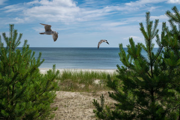 Blick auf die Ostsee in Prora hinter dem  KdF oder dem Koloss von Rügen
