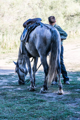 Cavalier et son cheval Camarguais.