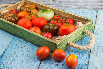 Set of different sorts of red tomatoes