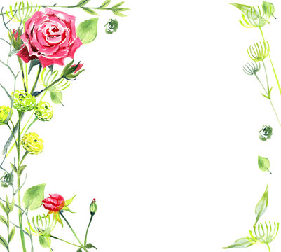 Roses, watercolor