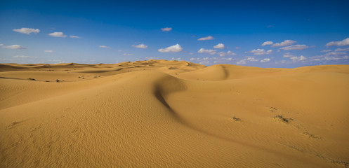 Fototapeta na wymiar Dubai desert scene 2