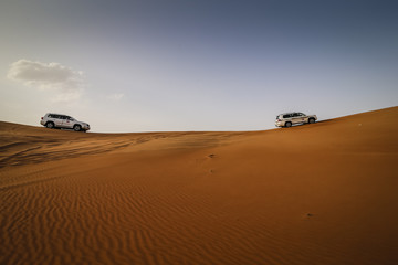 Fototapeta na wymiar Dubai desert scene