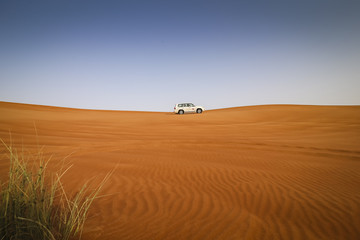 Fototapeta na wymiar Dubai desert scene