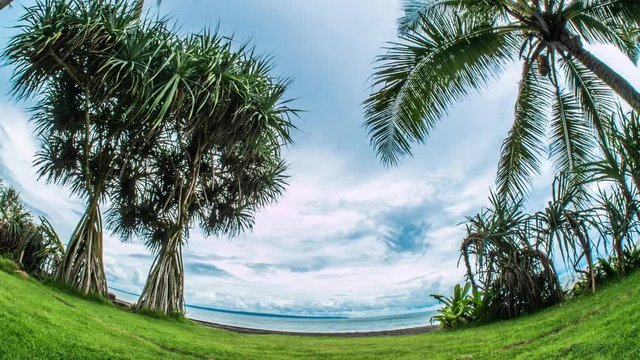 Timelapse of a ocean view, between palm trees.