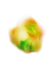 Abstract  yellow, orange and green watercolor blot. Hand painted watercolor background isolated on white.