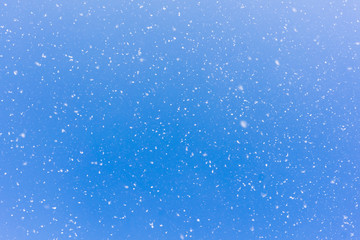 White snowflakes on a blue background