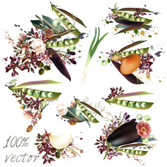 Vector elements pears and flowers. Natural food concept