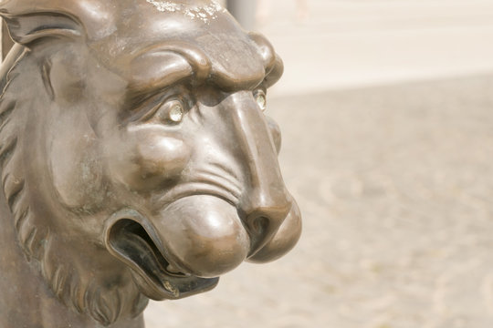 Brown statue of lion. Head, close-up