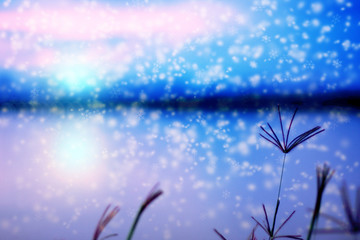 Fototapeta na wymiar Blurred of Swallen Finger Grass at twilight with snow flakes fal