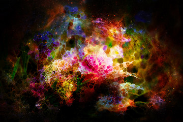 Fototapeta na wymiar abstract multicolor flower motive collage in space.