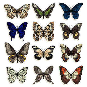 Set of illustrations with butterflies. Freehand drawing