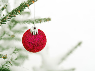 Branches of fir tree covered with snow with Christmas ornament in the form of a pink red glass ball
