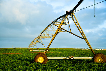 Pivot overhead irrigation on sugar cane fields in Mauritius