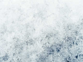 snowflakes, thin layer of snow, flake of snow closeup, macro