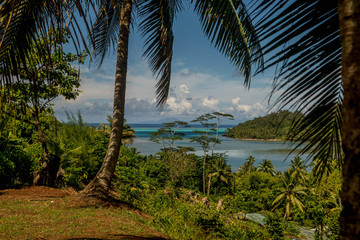 Fototapeta na wymiar paysage de Polynésie française