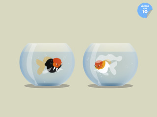 couple goldfish dress with groom and bride in separated bowl,isolated goldfish in bowl, married concept
