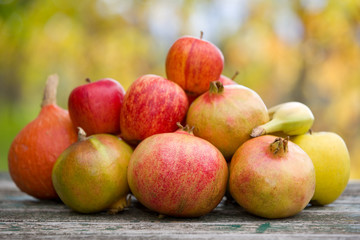 autumn fruits