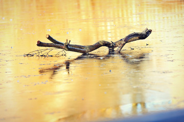 stick