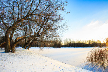 Winter landscape with snowy field, leafless trees and frozen lake in city park. Sunset in the wood.