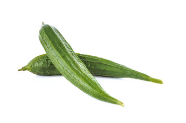 Angled loofah on a white background