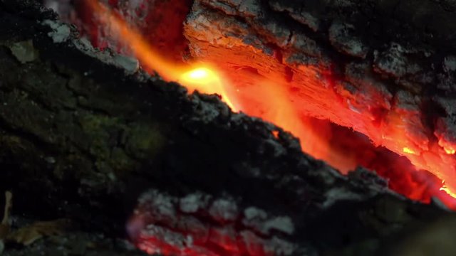 burning wood in a traditional fireplace: flames, ash, charred wood 