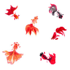 Goldfish, watercolor. Use printed materials, signs, items, websites, maps, posters, postcards, packaging.