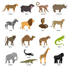 Lovely set of African animals