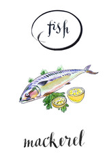 Fresh mackerel fish with lemon and salad