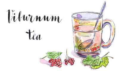 Glass cup of viburnum tea
