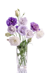 bunch of white and violet eustoma flowers in glass vase