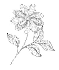 Vector Beautiful Contour Flower