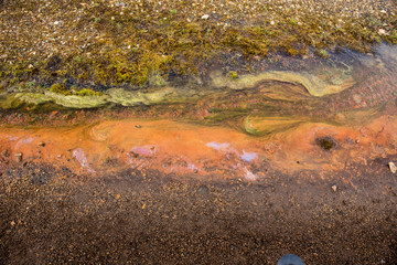 Dramatic background colours in a stream, Landmannalaugar, Icelan