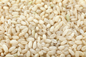 Brown short grain rice background